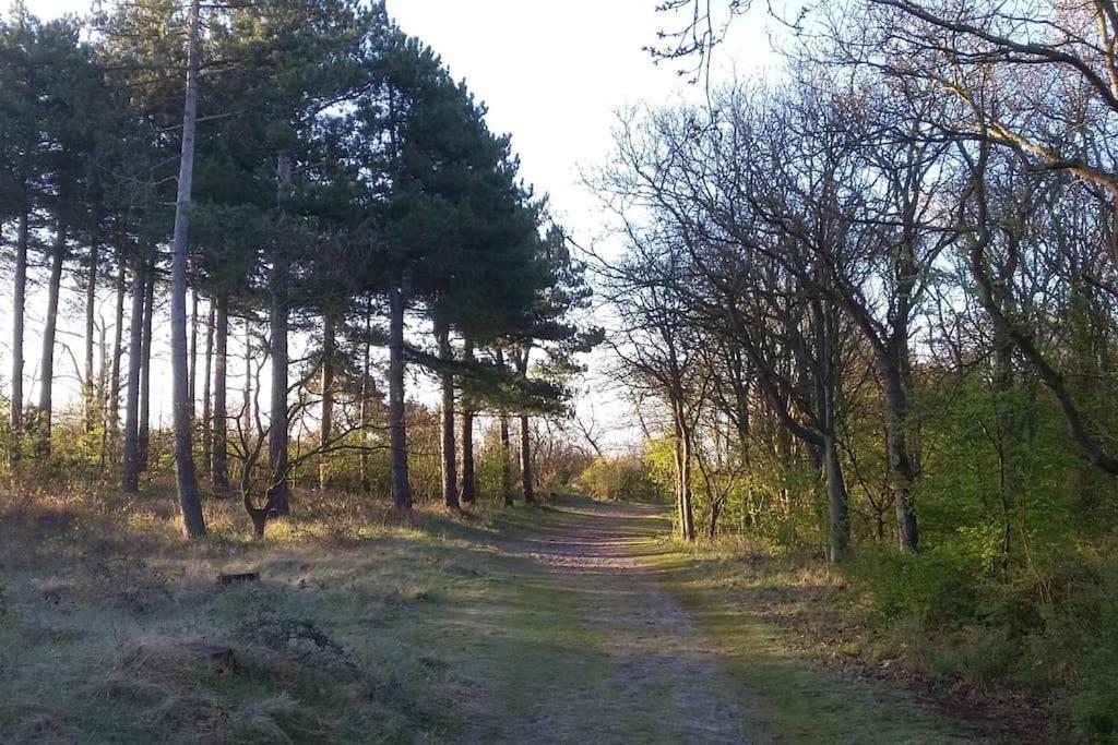 Cottage Egmond-Binnen Met Besloten Tuin エクステリア 写真