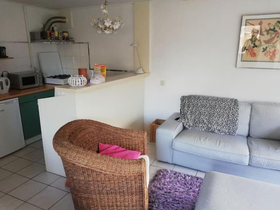 Cottage Egmond-Binnen Met Besloten Tuin エクステリア 写真