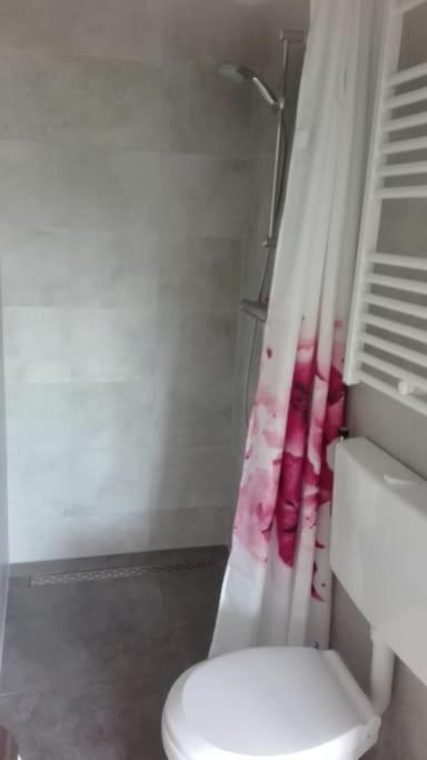 Cottage Egmond-Binnen Met Besloten Tuin エクステリア 写真