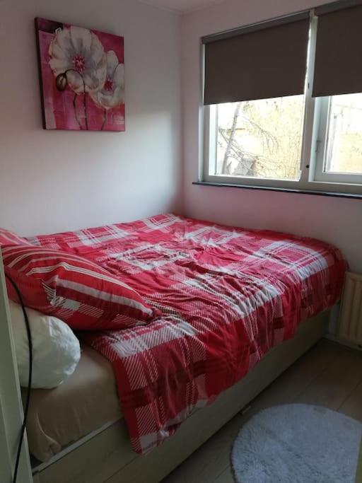 Cottage Egmond-Binnen Met Besloten Tuin エクステリア 写真