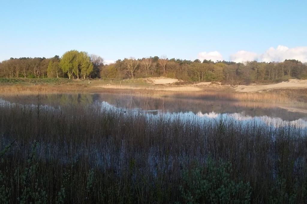 Cottage Egmond-Binnen Met Besloten Tuin エクステリア 写真