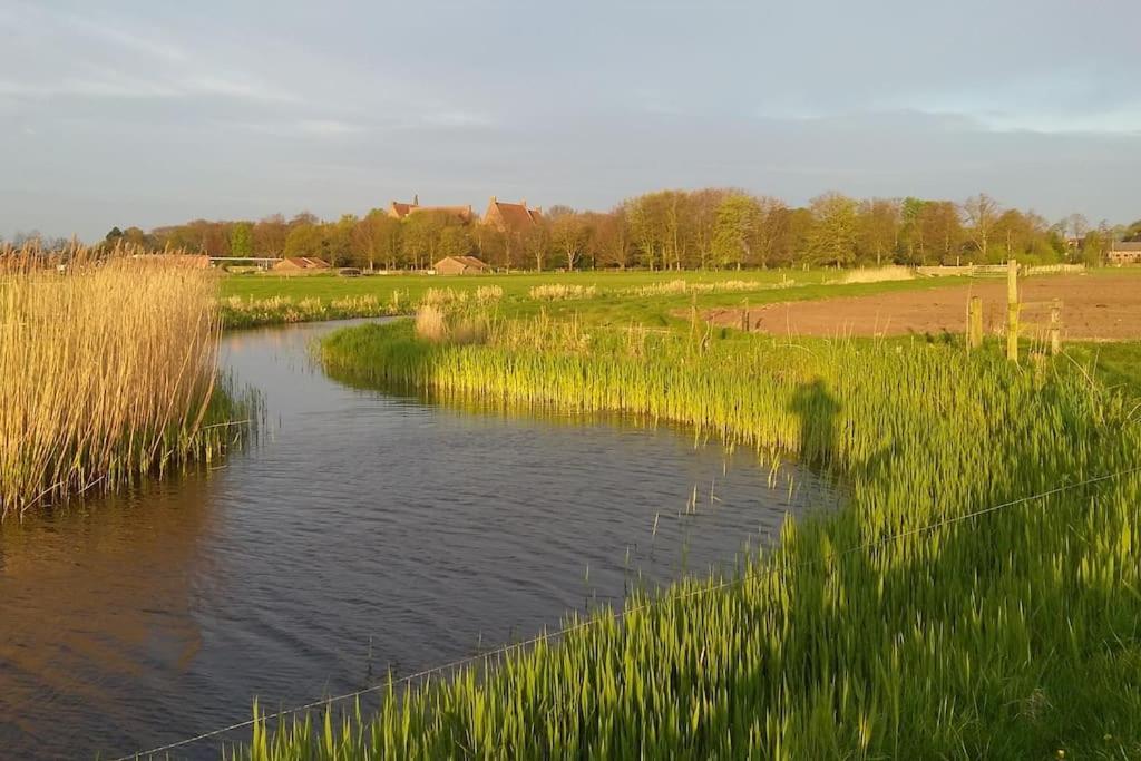 Cottage Egmond-Binnen Met Besloten Tuin エクステリア 写真