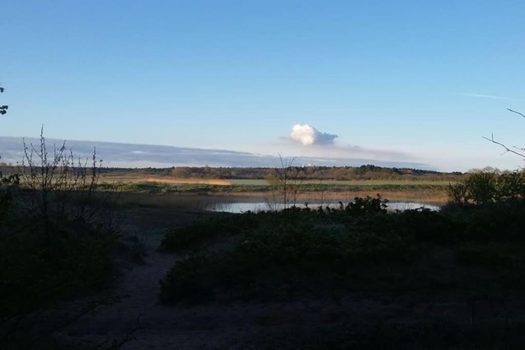 Cottage Egmond-Binnen Met Besloten Tuin エクステリア 写真