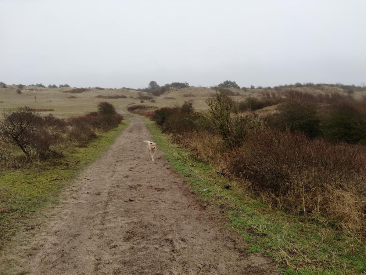 Cottage Egmond-Binnen Met Besloten Tuin エクステリア 写真