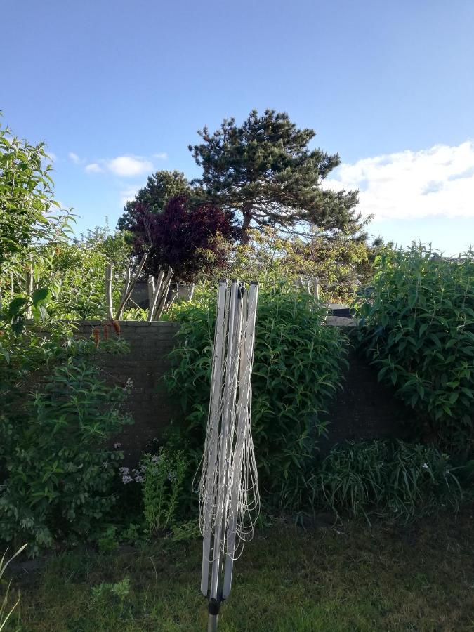 Cottage Egmond-Binnen Met Besloten Tuin エクステリア 写真